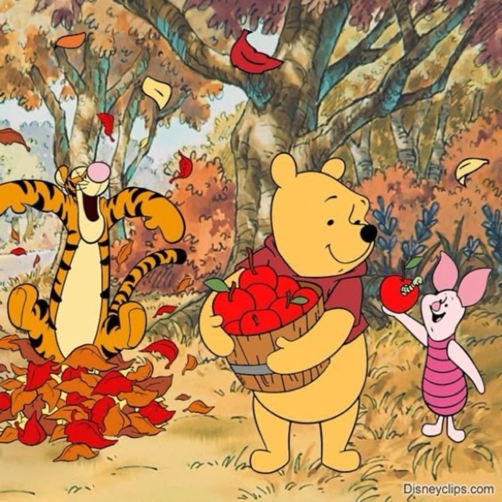 Meet your Posher, Addy